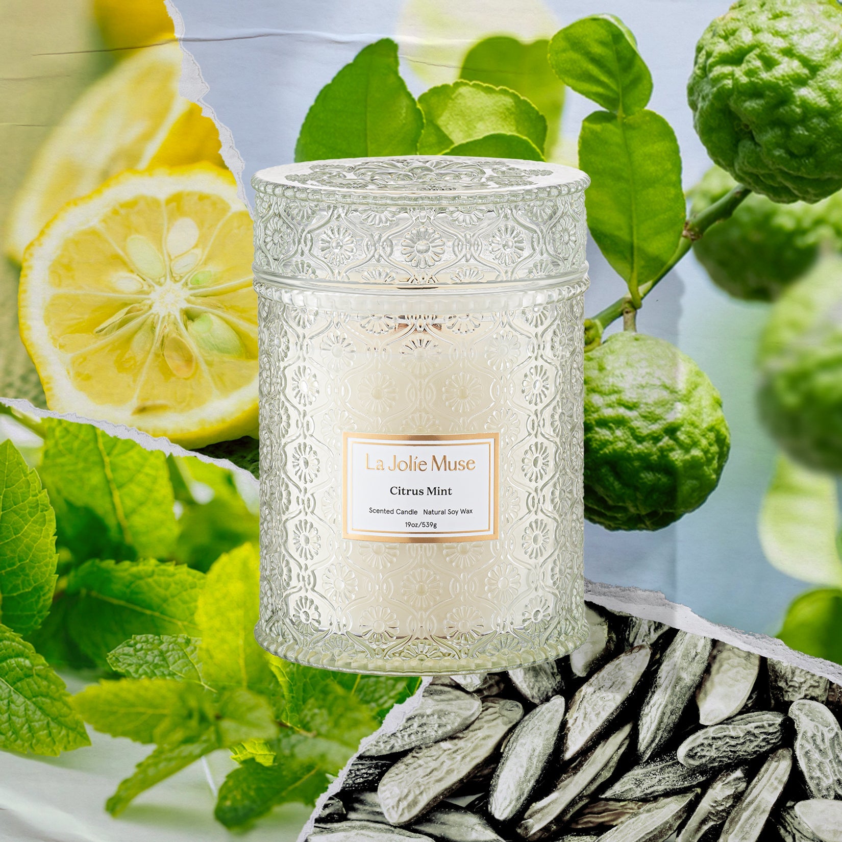 Maelyn - Citrus Mint 19oz Candle