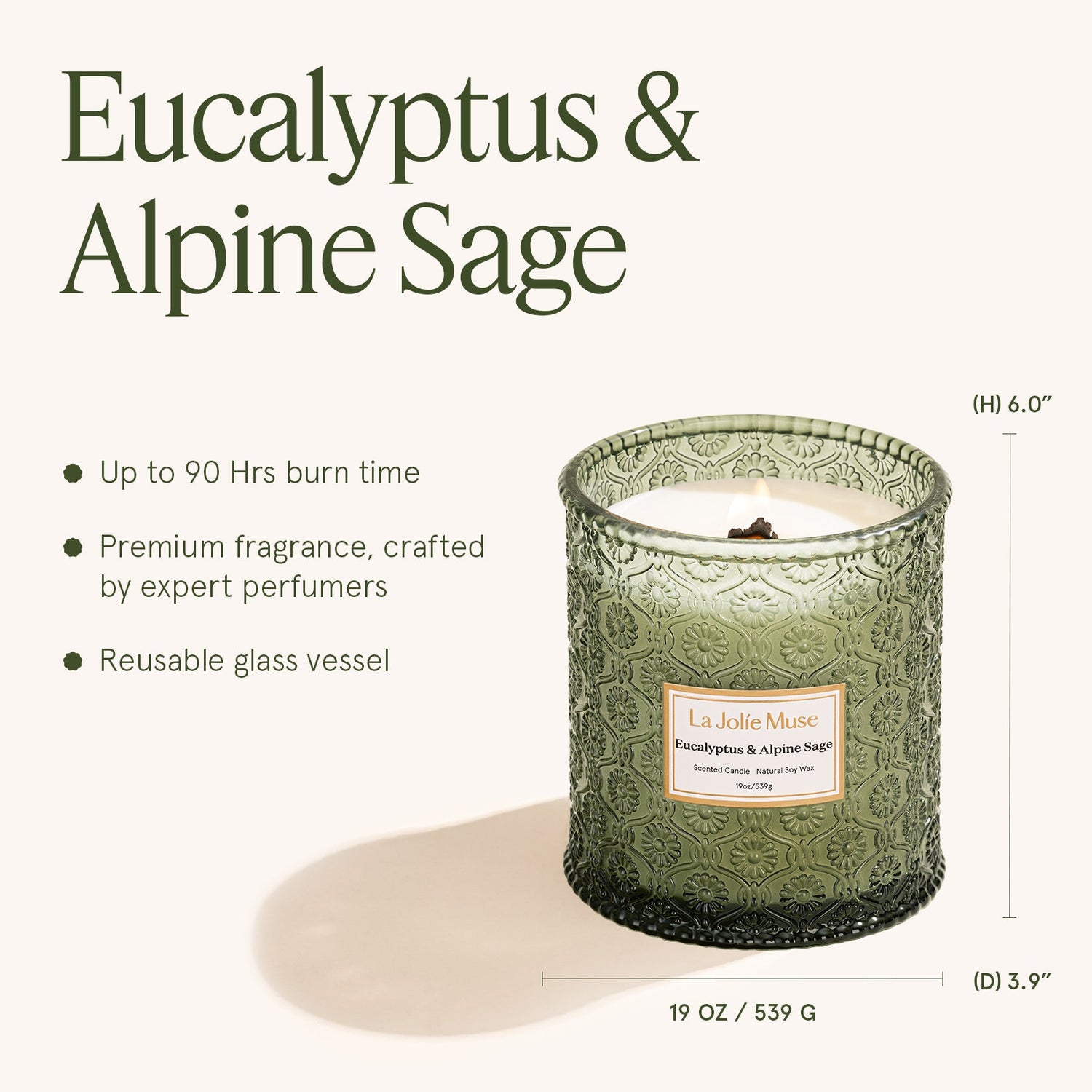 Maelyn - Eucalyptus &amp; Alpine Sage 19oz Candle