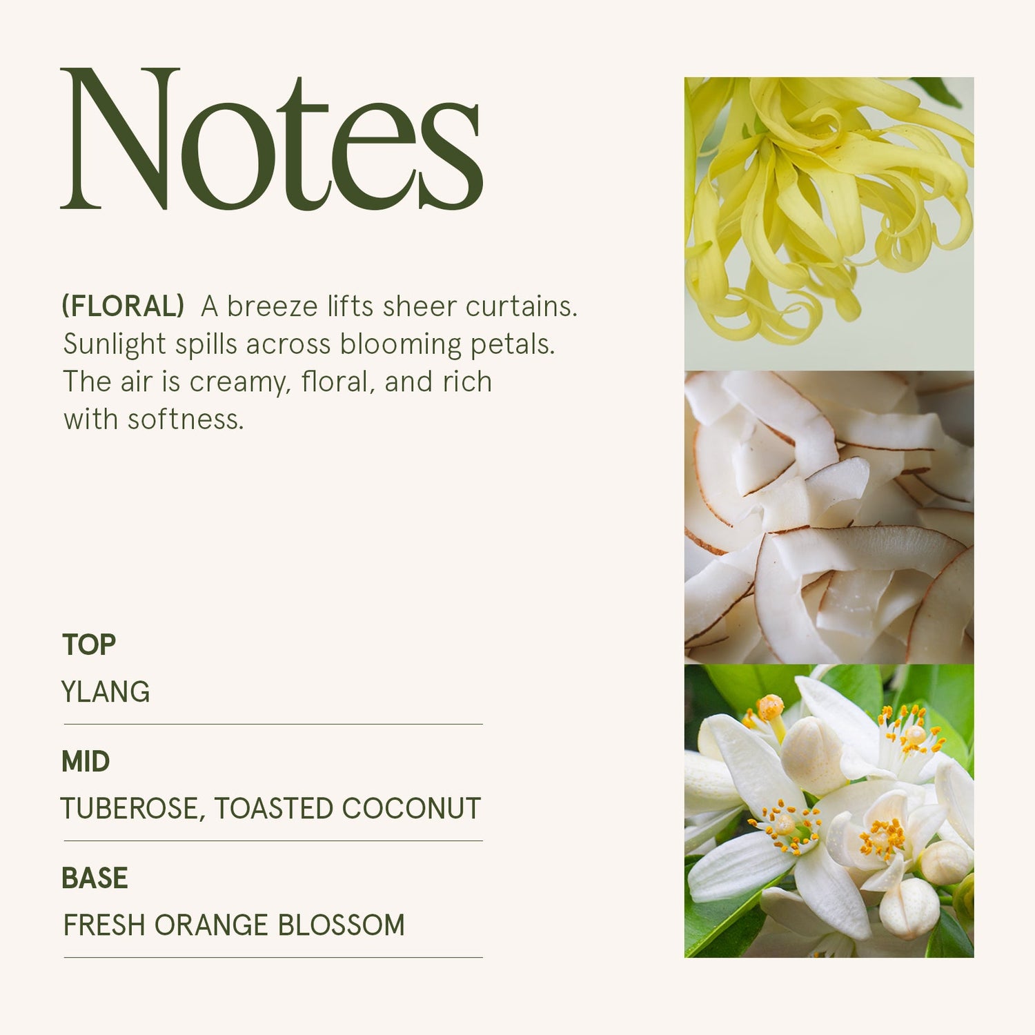 Marvella - Champs de Tuberose 10oz Candle
