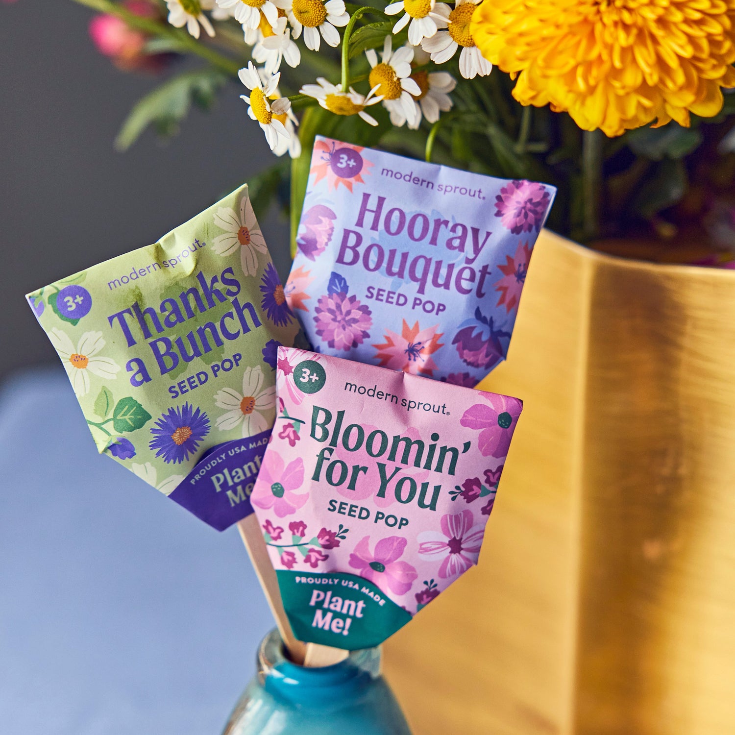 Seed Pops - Flowers