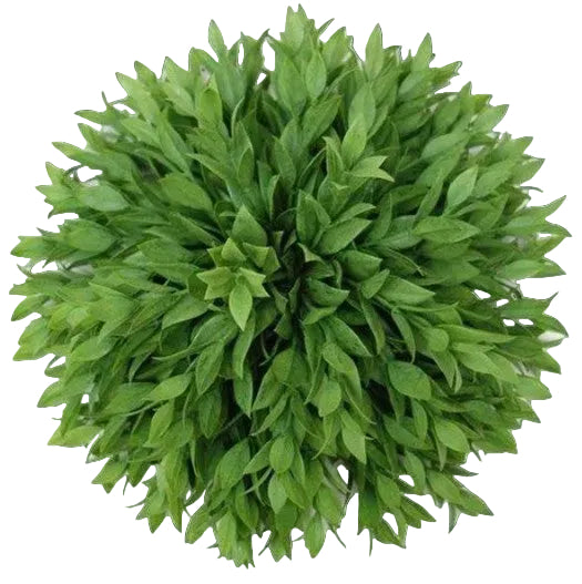 Half Round Ruscus Ball
