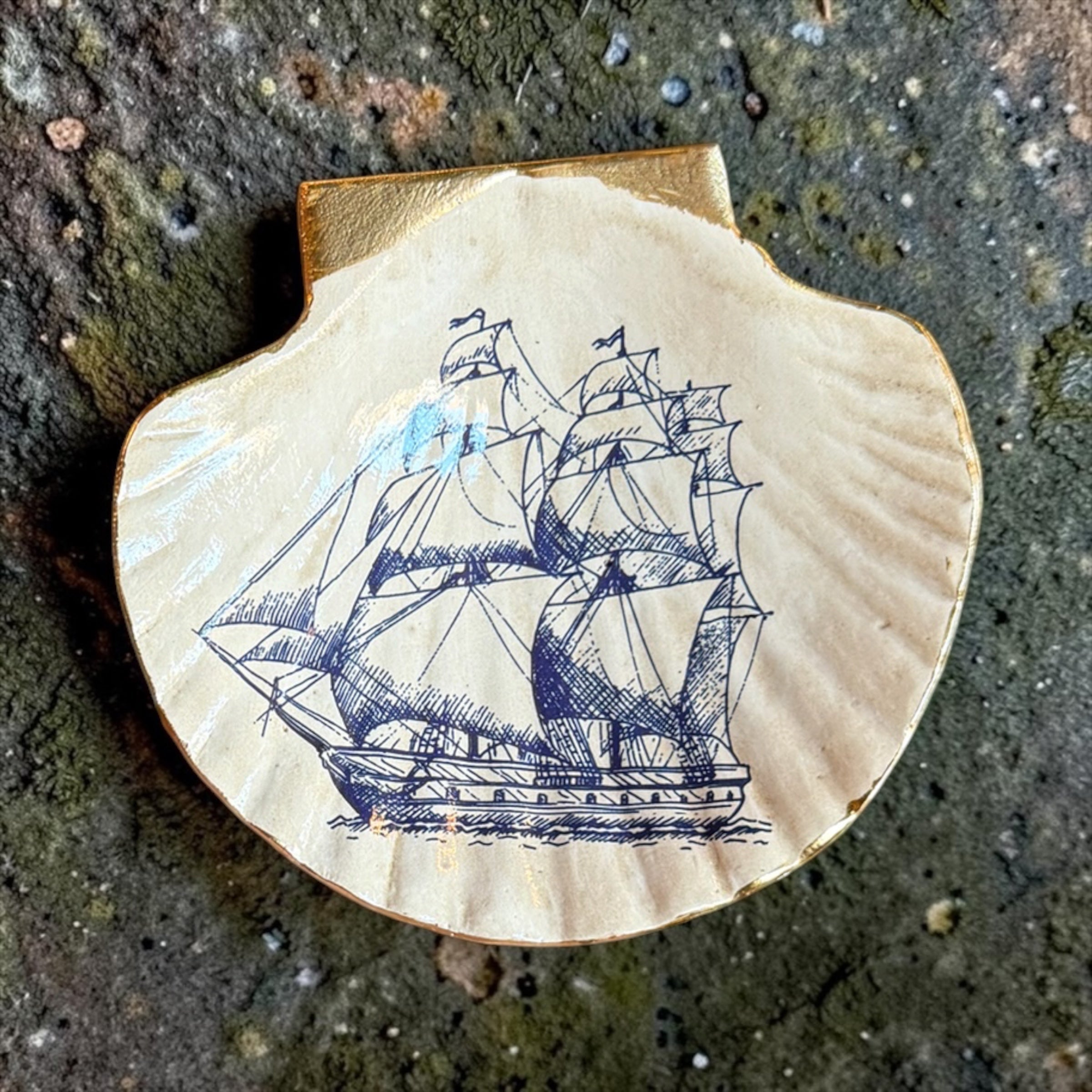 Blue &amp; White Sea Life Shell Trinket Dish