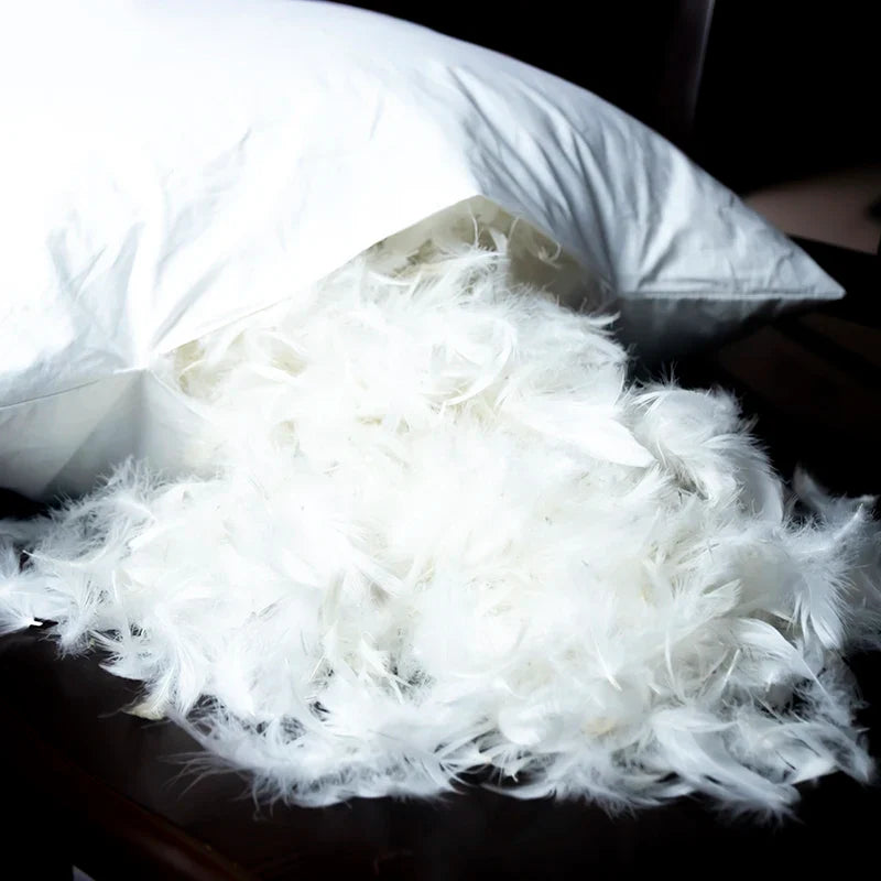 100% Cotton Goose Down Feather Pillow Inserts - Multiple Sizes