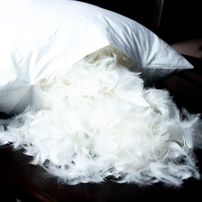 100% Cotton Goose Down Feather Pillow Inserts - Multiple Sizes
