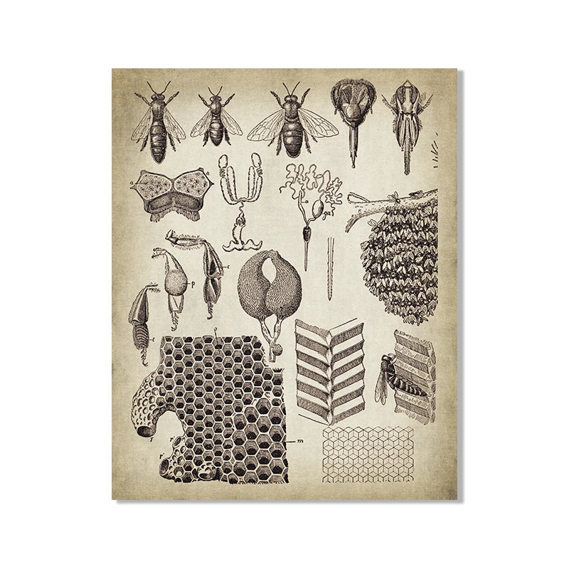 Vintage French Country Wall Art