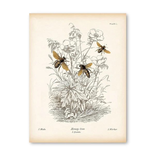 Vintage French Country Wall Art
