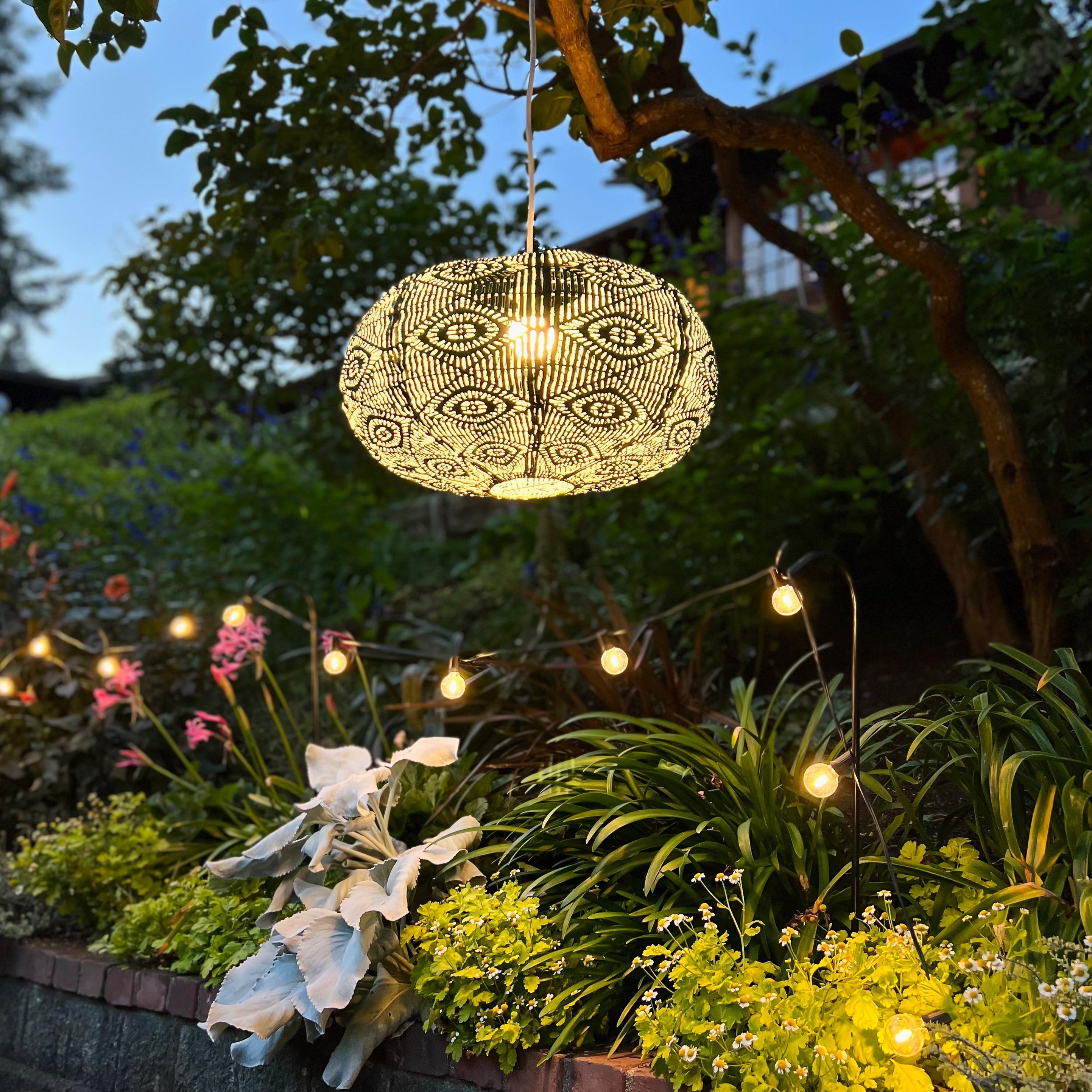 Soji Stella Nova Starbeam Evergeen - 20" Indoor / Outdoor Pendant Lamp (120V)