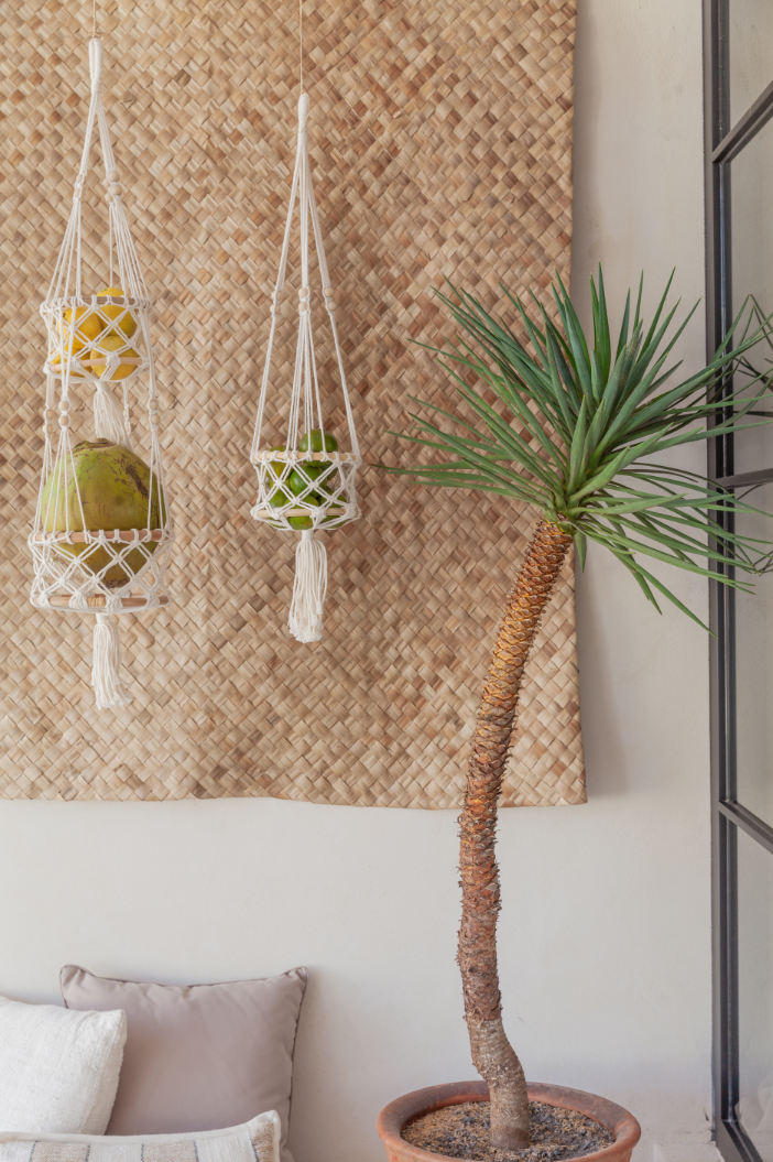 Beaded Macrame Plant Hangers