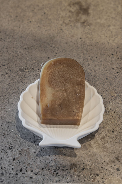 Stucco Shell Trinket Trays - 3 Colors