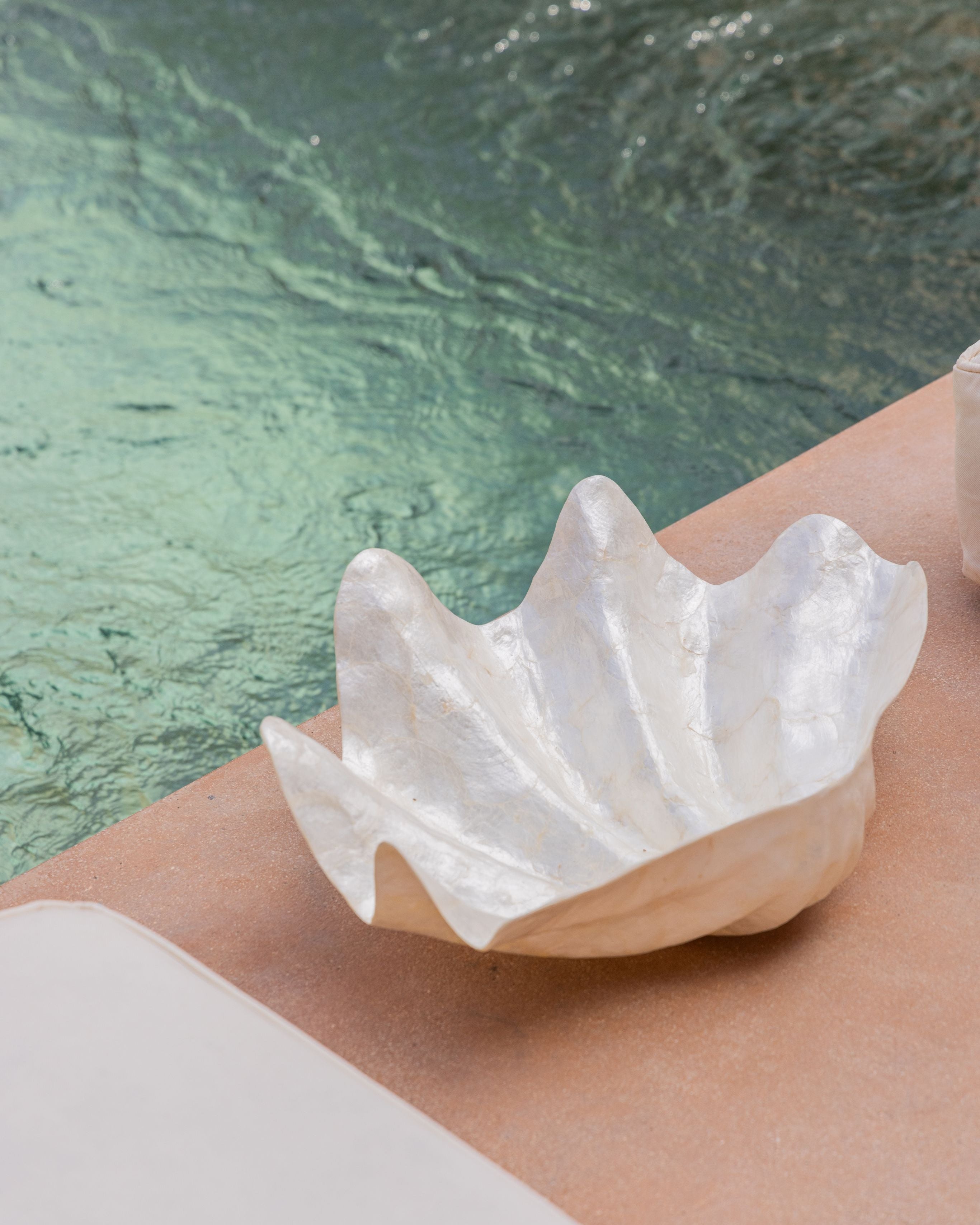 Clam Shell Bowl - 3 Sizes