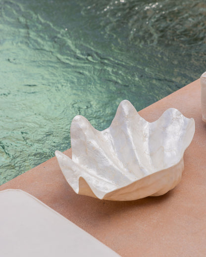 Clam Shell Bowl - 3 Sizes