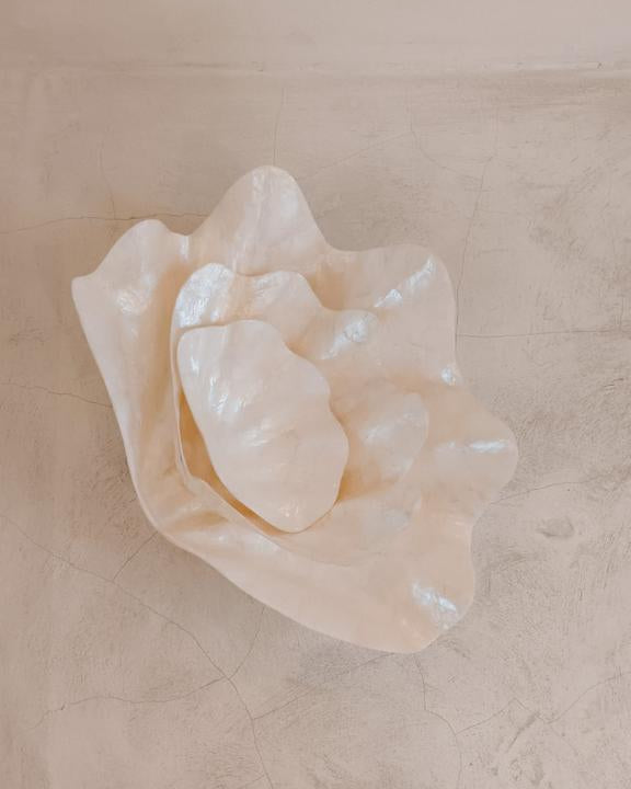 Clam Shell Bowl - 3 Sizes