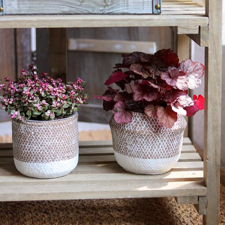 Boho Straw-Look Concrete Planter