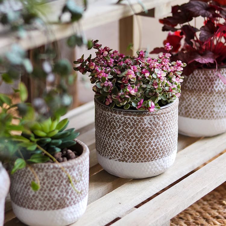 Boho Straw-Look Concrete Planter