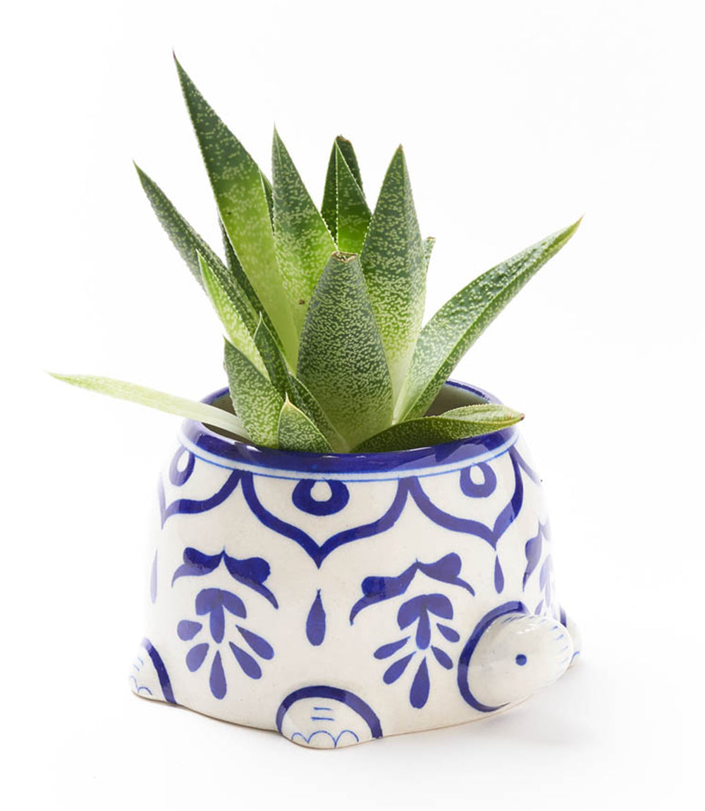 Lalita Mama Turtle Succulent Planter - White/Blue Hand Painted