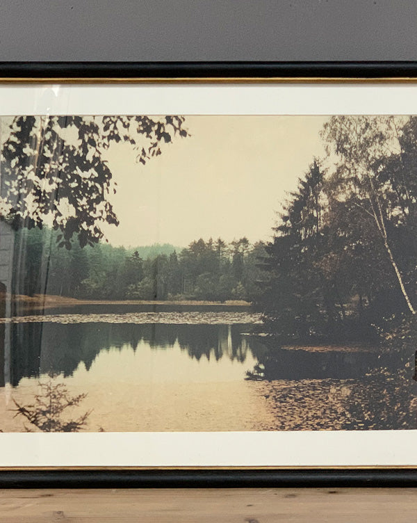 Curated Gallery Wall Vintage Art Collection - 3 Piece Set