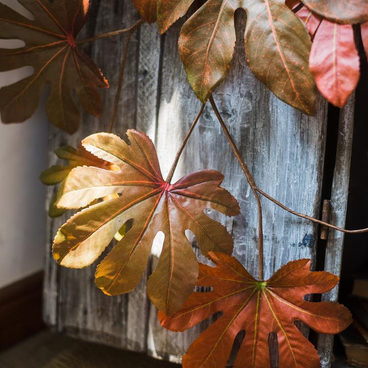 Artificial Fatsia Leaf in Autumn Red - 32"