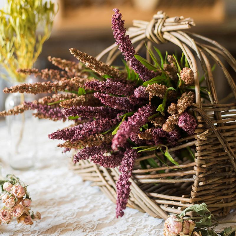 Buddleja Butterfly Bush Bundle - 18"