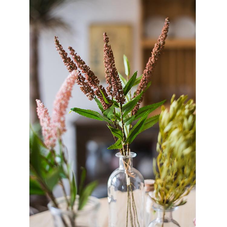 Buddleja Butterfly Bush Bundle - 18"