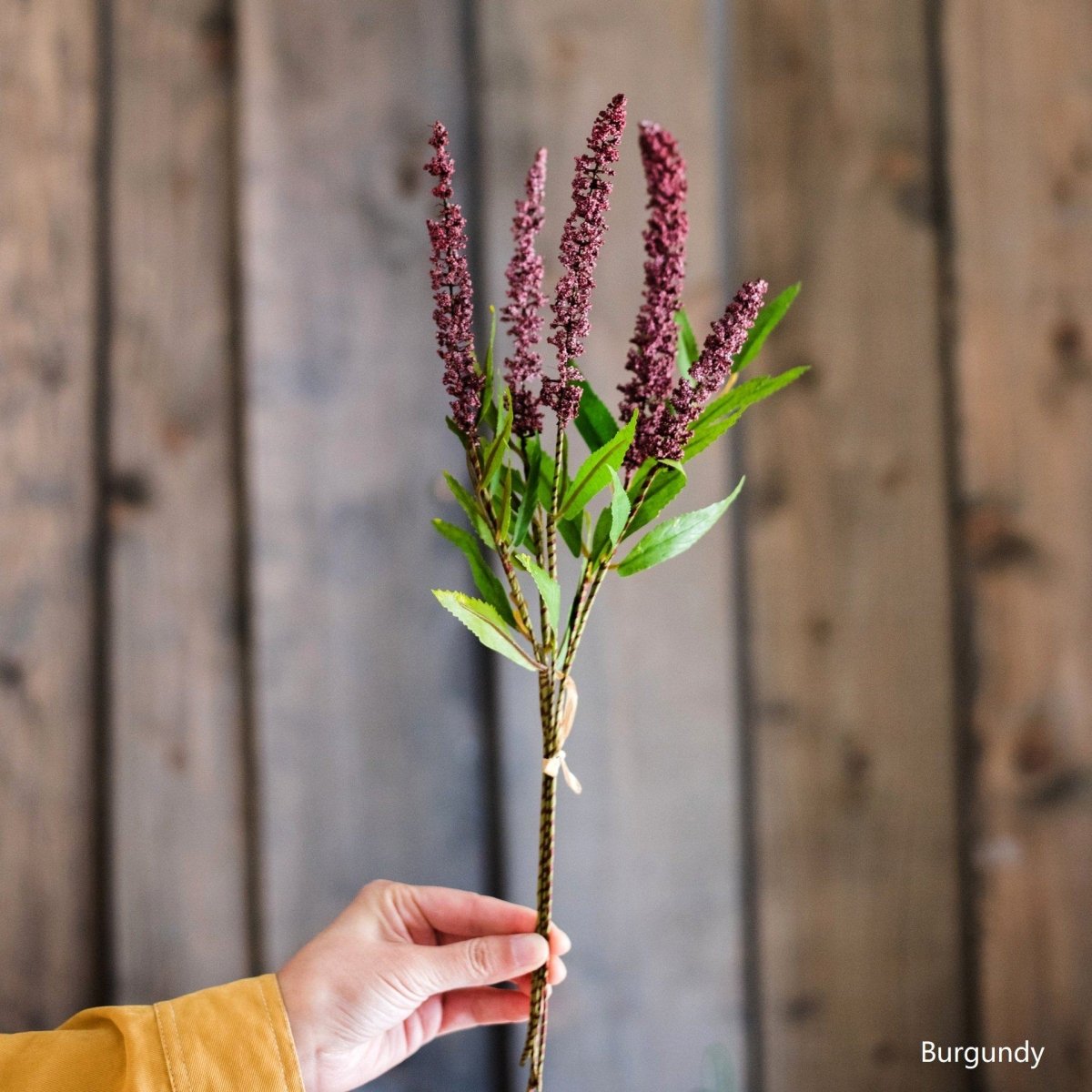 Buddleja Butterfly Bush Bundle - 18"