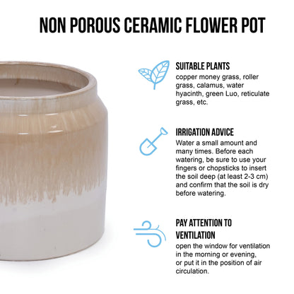 Set of 2 Gradient Ceramic Flowerpots - White/Brown