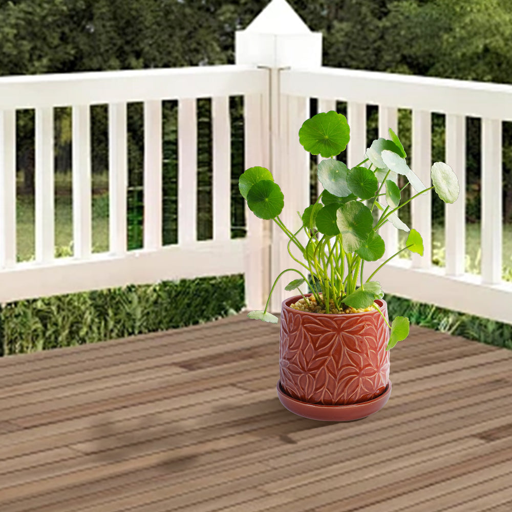 Set of 2 Embossed Ceramic Flowerpots - Red