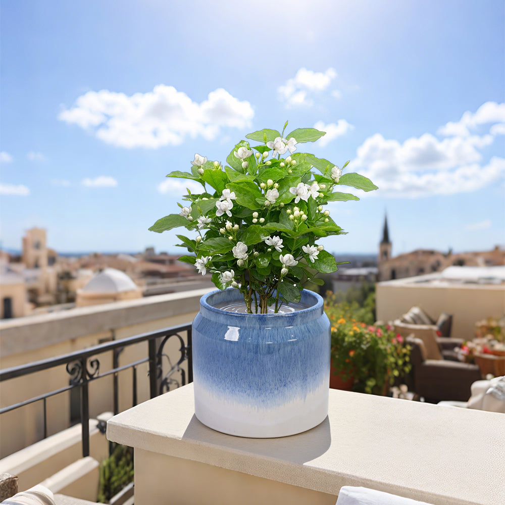 Set of 2 Gradient Ceramic Flowerpots - White/Blue
