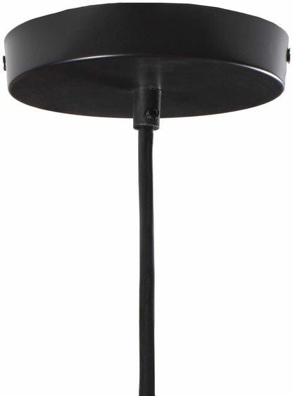 Phlox Pendant Light