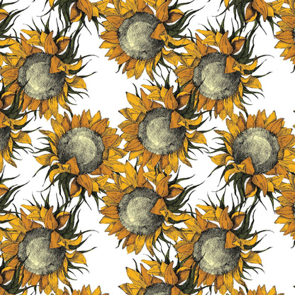 Arie Wallpaper