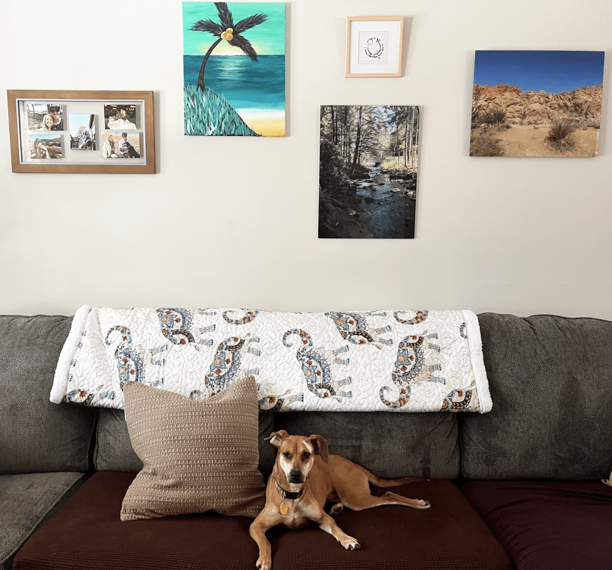 Hati Elephants Sherpa Throw - 3 Colors