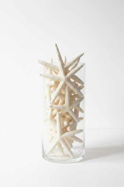 White Pencil Finger Starfish 6-8", 8-10"